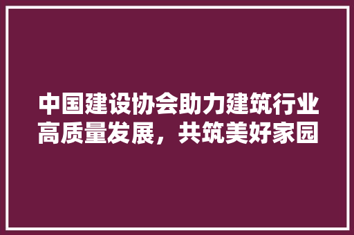 中国建设协会助力建筑行业高质量发展，共筑美好家园