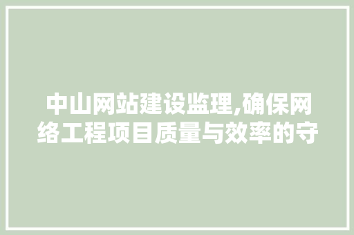 中山网站建设监理,确保网络工程项目质量与效率的守护者