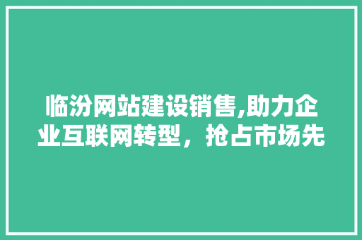 临汾网站建设销售,助力企业互联网转型，抢占市场先机