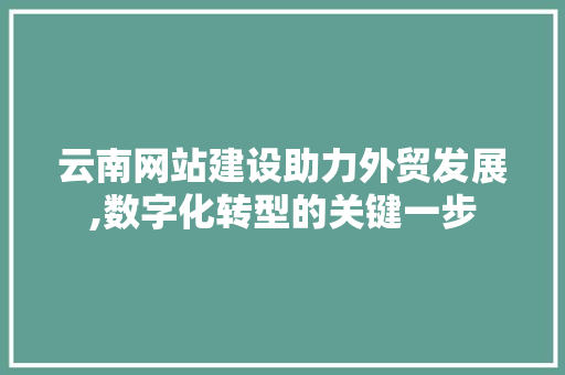 云南网站建设助力外贸发展,数字化转型的关键一步