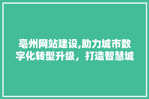 亳州网站建设,助力城市数字化转型升级，打造智慧城市新标杆