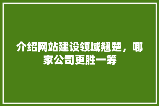 介绍网站建设领域翘楚，哪家公司更胜一筹