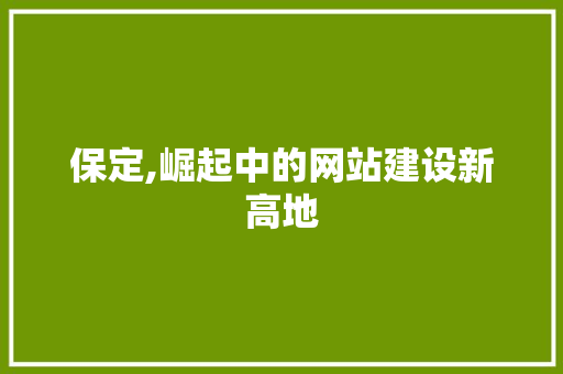 保定,崛起中的网站建设新高地
