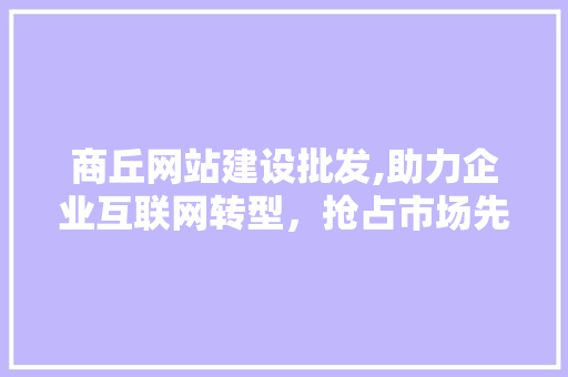 商丘网站建设批发,助力企业互联网转型，抢占市场先机 编程语言