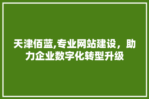 天津佰蓝,专业网站建设，助力企业数字化转型升级