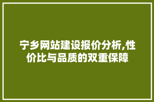 宁乡网站建设报价分析,性价比与品质的双重保障