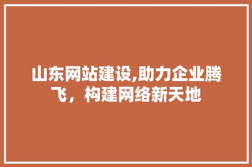 山东网站建设,助力企业腾飞，构建网络新天地