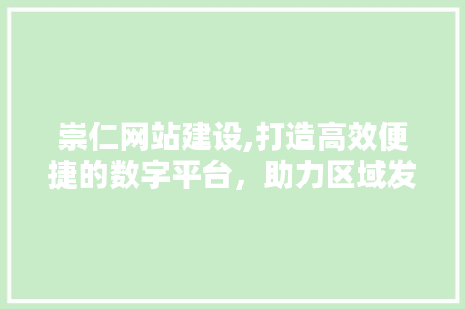 崇仁网站建设,打造高效便捷的数字平台，助力区域发展新篇章