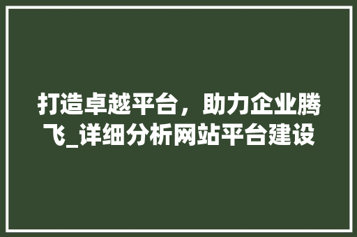 打造卓越平台，助力企业腾飞_详细分析网站平台建设公司的发展之路
