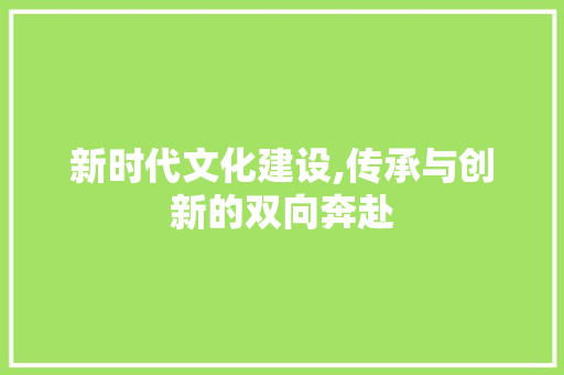 新时代文化建设,传承与创新的双向奔赴