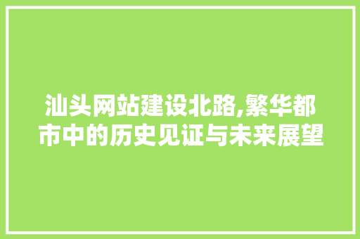 汕头网站建设北路,繁华都市中的历史见证与未来展望