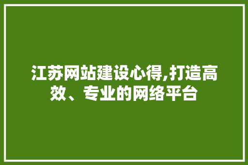江苏网站建设心得,打造高效、专业的网络平台 江苏网站建设心得,打造高效、专业的网络平台