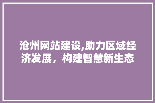 沧州网站建设,助力区域经济发展，构建智慧新生态