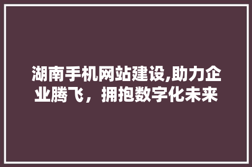 湖南手机网站建设,助力企业腾飞，拥抱数字化未来