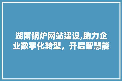 湖南锅炉网站建设,助力企业数字化转型，开启智慧能源新篇章