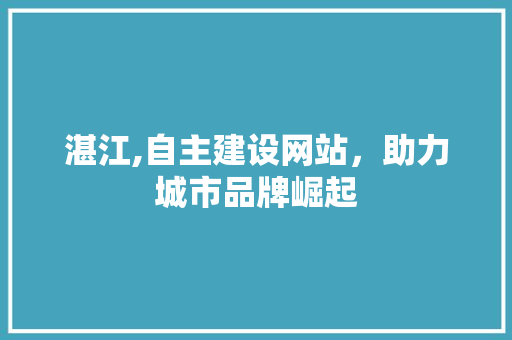 湛江,自主建设网站，助力城市品牌崛起
