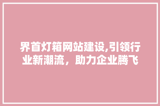 界首灯箱网站建设,引领行业新潮流，助力企业腾飞