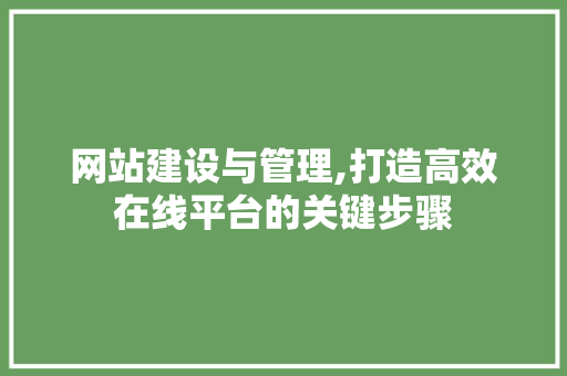 网站建设与管理,打造高效在线平台的关键步骤