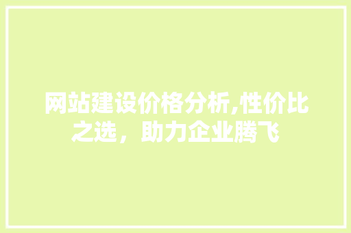 网站建设价格分析,性价比之选，助力企业腾飞