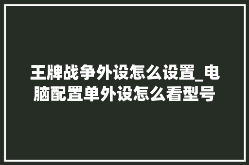 王牌战争外设怎么设置_电脑配置单外设怎么看型号