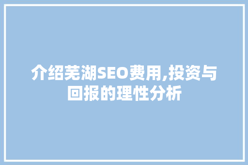 介绍芜湖SEO费用,投资与回报的理性分析