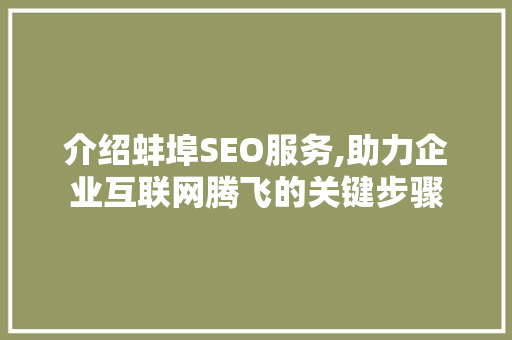 介绍蚌埠SEO服务,助力企业互联网腾飞的关键步骤