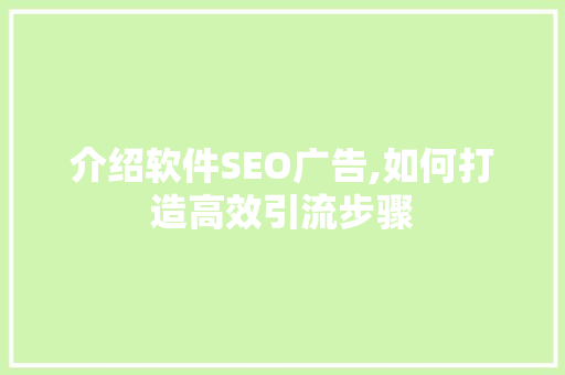介绍软件SEO广告,如何打造高效引流步骤
