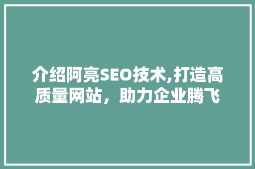 介绍阿亮SEO技术,打造高质量网站，助力企业腾飞