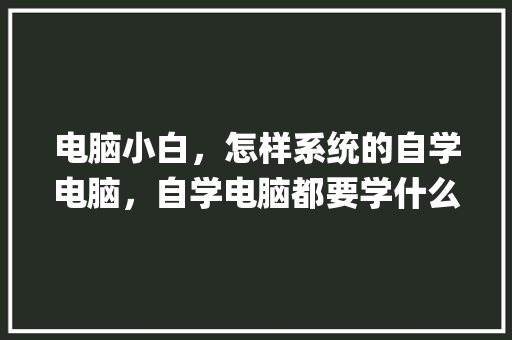 电脑小白，怎样系统的自学电脑，自学电脑都要学什么_小白电脑入门基础知识
