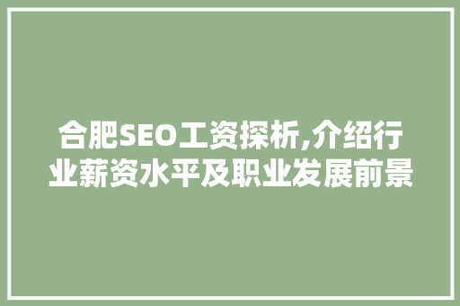 合肥SEO工资探析,介绍行业薪资水平及职业发展前景