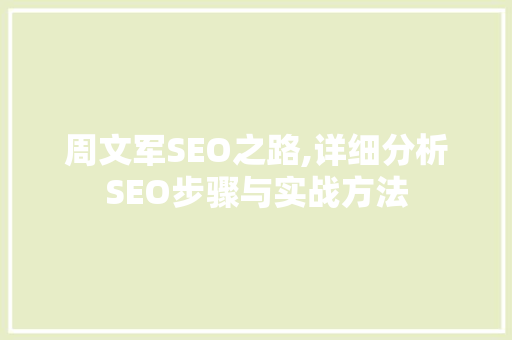 周文军SEO之路,详细分析SEO步骤与实战方法