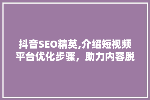 抖音SEO精英,介绍短视频平台优化步骤，助力内容脱颖而出