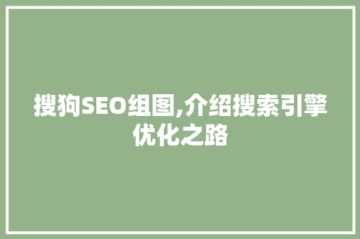 搜狗SEO组图,介绍搜索引擎优化之路
