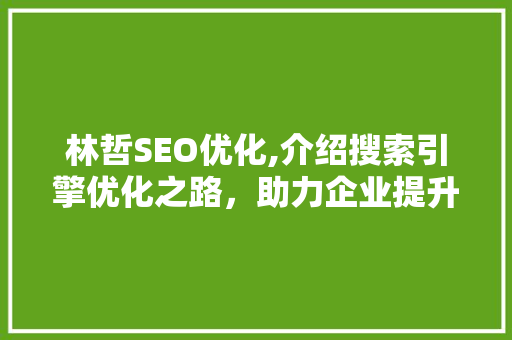 林哲SEO优化,介绍搜索引擎优化之路，助力企业提升在线竞争力