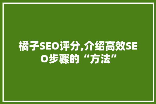 橘子SEO评分,介绍高效SEO步骤的“方法”