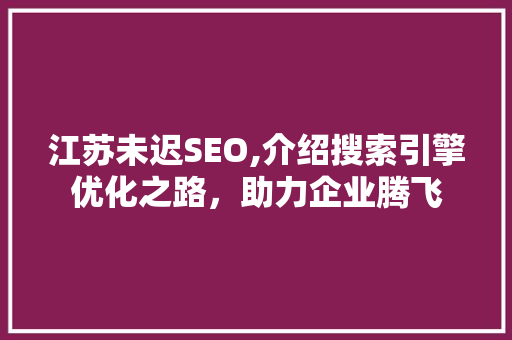 江苏未迟SEO,介绍搜索引擎优化之路，助力企业腾飞