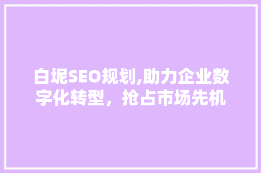 白坭SEO规划,助力企业数字化转型，抢占市场先机