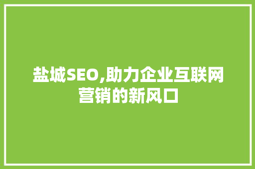 盐城SEO,助力企业互联网营销的新风口