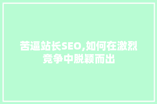 苦逼站长SEO,如何在激烈竞争中脱颖而出