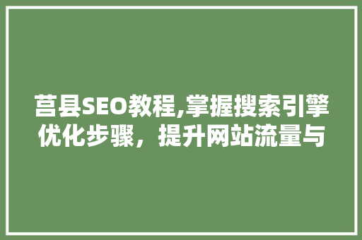 莒县SEO教程,掌握搜索引擎优化步骤，提升网站流量与排名