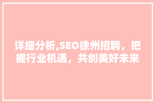 详细分析,SEO徐州招聘，把握行业机遇，共创美好未来 编程语言
