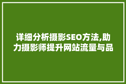 详细分析摄影SEO方法,助力摄影师提升网站流量与品牌影响力