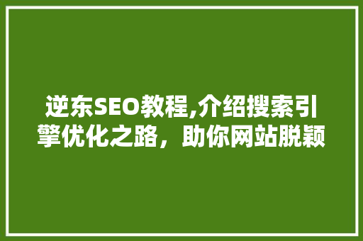 逆东SEO教程,介绍搜索引擎优化之路，助你网站脱颖而出