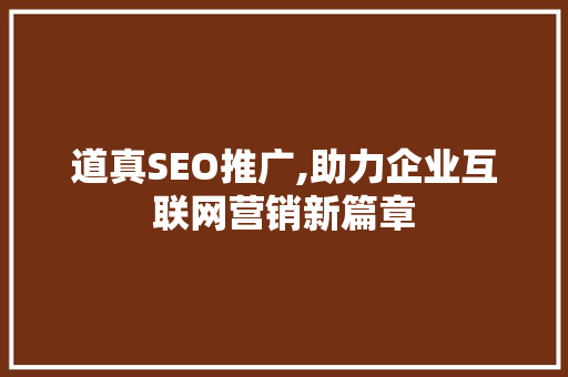 道真SEO推广,助力企业互联网营销新篇章