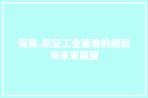 阎良,航空工业基地的崛起与未来展望