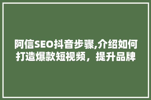 阿信SEO抖音步骤,介绍如何打造爆款短视频，提升品牌影响力
