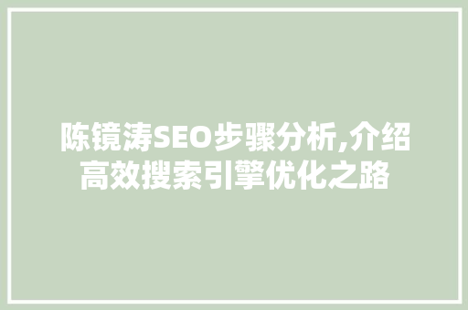 陈镜涛SEO步骤分析,介绍高效搜索引擎优化之路