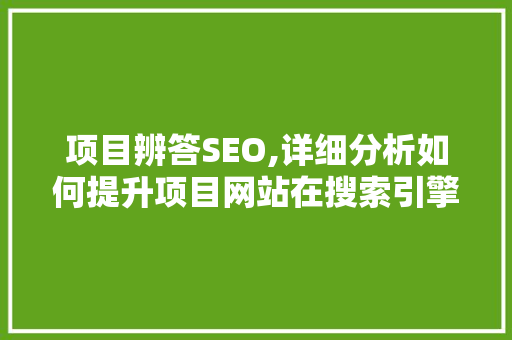 项目辨答SEO,详细分析如何提升项目网站在搜索引擎中的排名