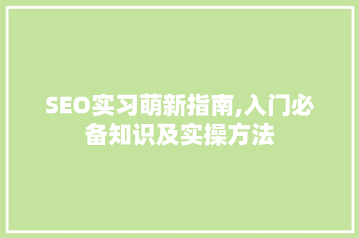 SEO实习萌新指南,入门必备知识及实操方法 SEO实习萌新指南,入门必备知识及实操方法