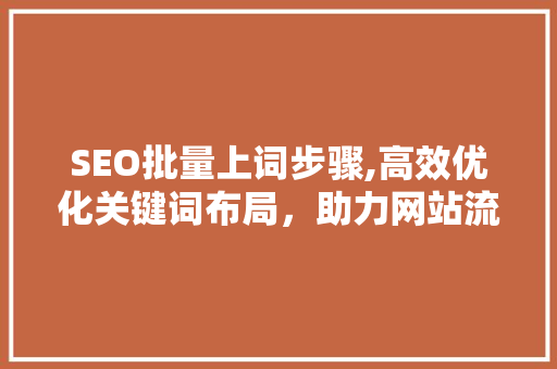 SEO批量上词步骤,高效优化关键词布局，助力网站流量提升